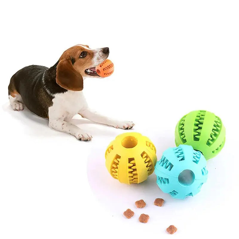 Dog Toy Ball: Bola Resistente para Mastigar e Limpeza Dentária - Diversão e Saúde para Seu Pet!