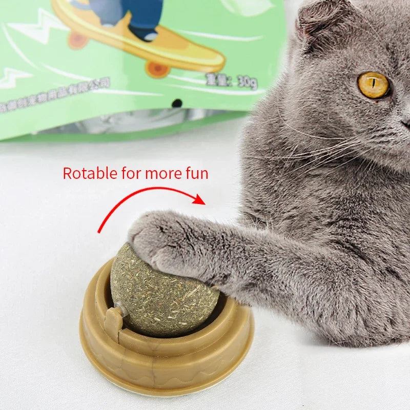 Brinquedo Natural para Gatos: Saúde, Diversão e Bem-Estar em um Só Produto!