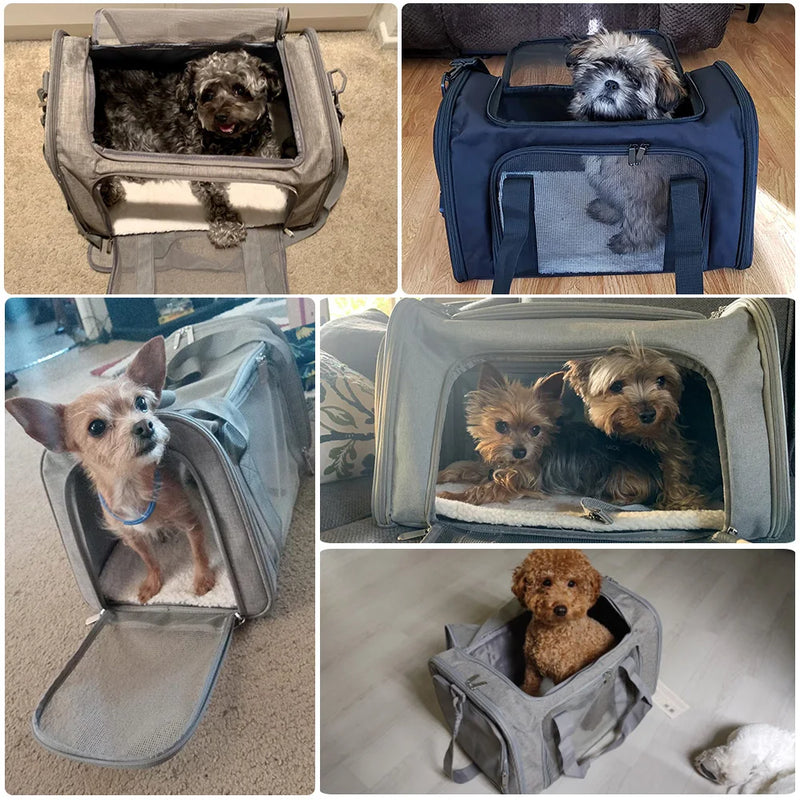 Transportador de Pet: Conforto, Segurança e Praticidade em Cada Viagem!