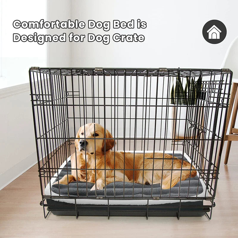 Cama Ortodôntica para Cães com Zíper: Conforto, Praticidade e Suporte Total para Seu Pet!